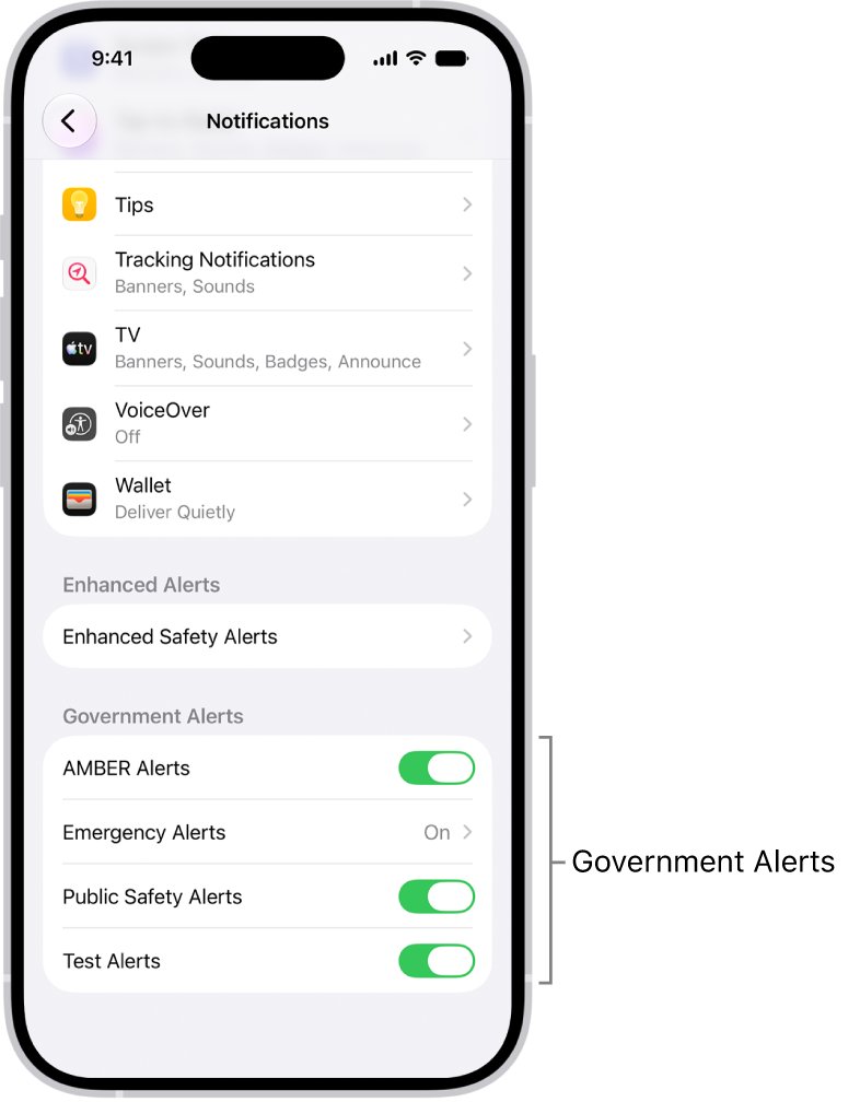 Turn off iPhone emergency weather alerts in the Government Alerts section
