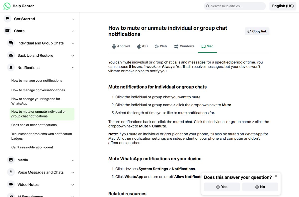 Unmute WhatsApp chat on Mac: official steps using the Mute dropdown