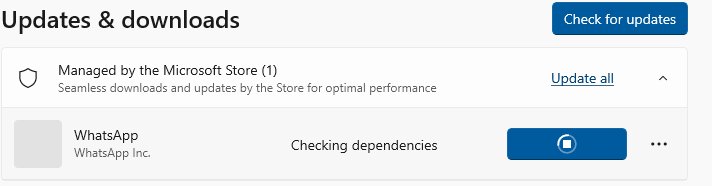 Update WhatsApp on Windows PC from the Microsoft Store Updates and downloads page