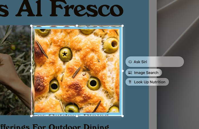 Visual Intelligence on Mac with Ask Siri, Image Search and Look Up options