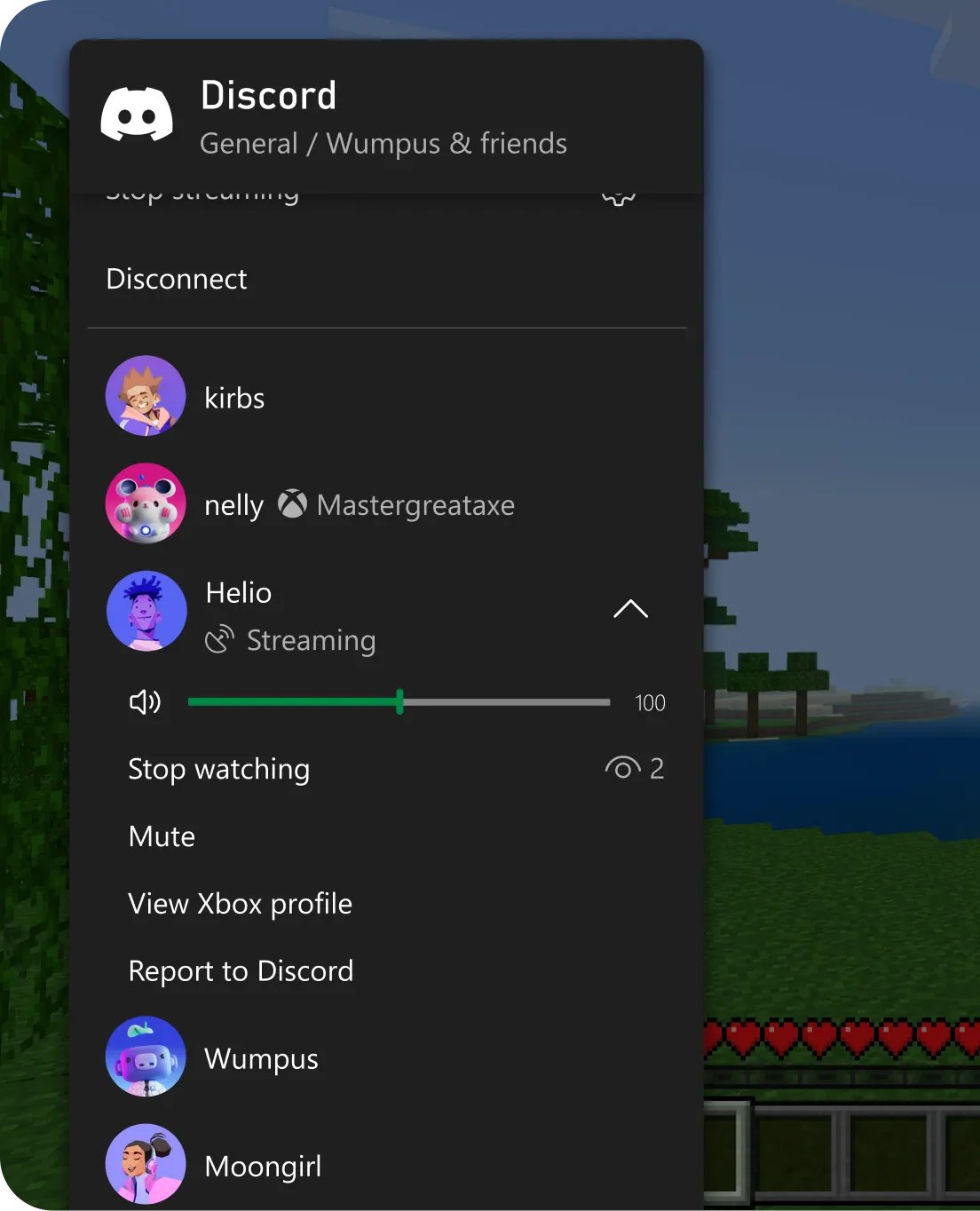 What is Discord and how does it work: voice channel with a streamer