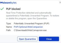What is Lavasoft Web Companion and should it be removed?