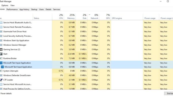 What is “Microsoft Text Input Application” in Windows?