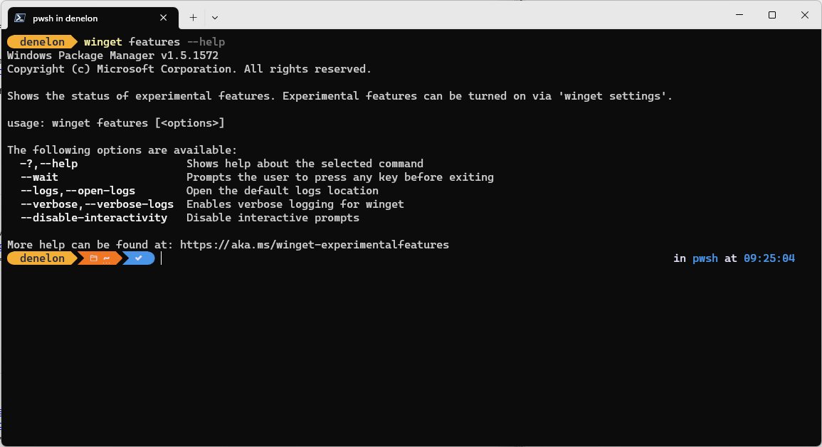 WinGet commands help output listing the options for winget features