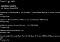 Windows 10 Windows Update page listing several updates with Pending install status