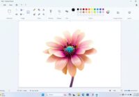 Windows 11 Paint toolbar above a canvas holding a flower picture