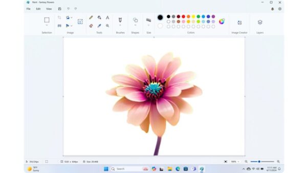 Help with Paint in Windows 11/10