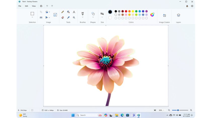 Windows 11 Paint toolbar above a canvas holding a flower picture