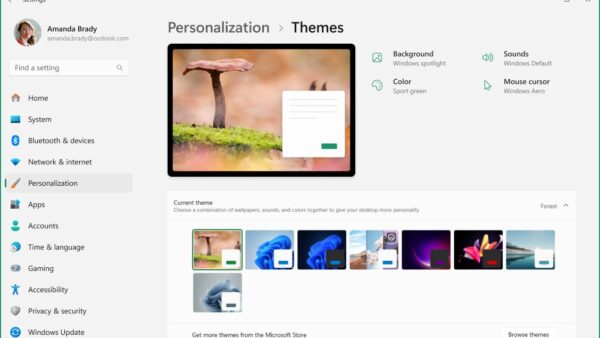 Windows 11 Personalization settings will help you customize your PC