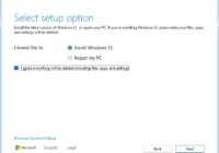 Windows 11 Setup Select setup option screen with Install Windows 11 chosen