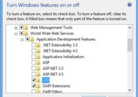 Windows Features dialog with CGI ticked under Application Development Features