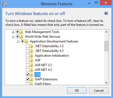 Windows Features dialog with CGI ticked under Application Development Features
