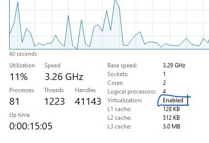 Windows Sandbox requirements: CPU panel showing Virtualization set to Enabled