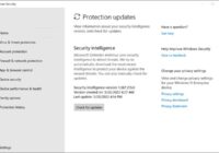 Windows Security Protection updates page with the Check for updates button