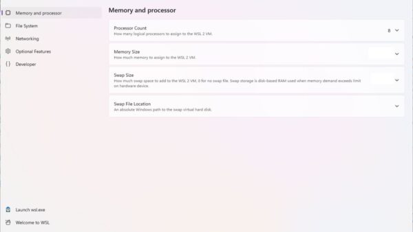 How to fix Vmmem high memory and CPU usage