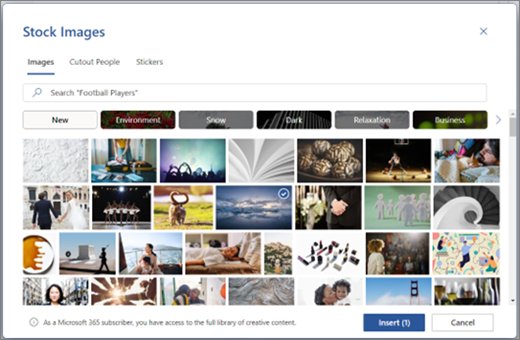 Word Stock Images window with a gallery of photos and Insert button