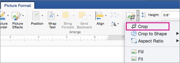 How to insert a signature in a Microsoft Word document
