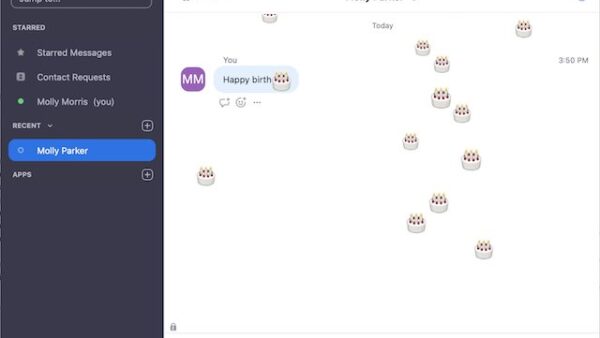 How to use Zoom chat and useful tips