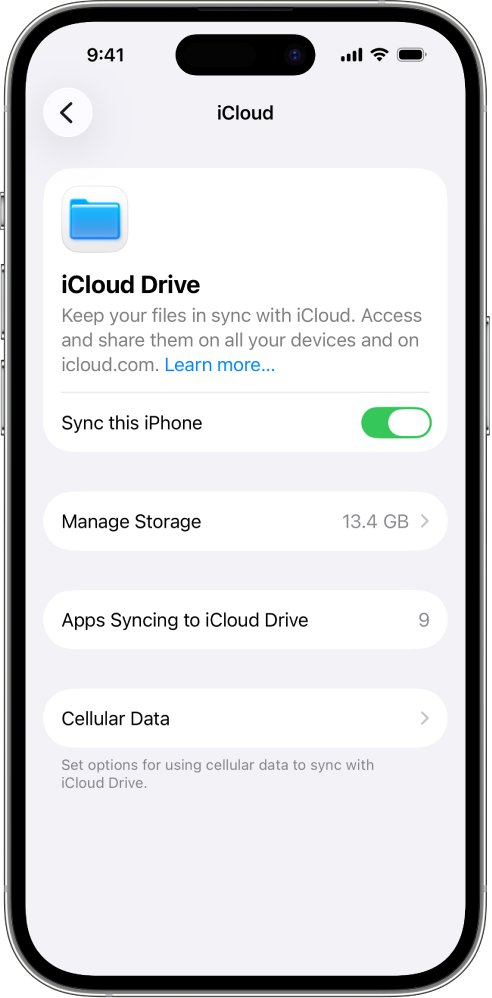 iCloud Drive to external hard drive prerequisite: Sync this iPhone turned on
