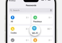iPhone Passwords app home screen with the Wi-Fi category highlighted