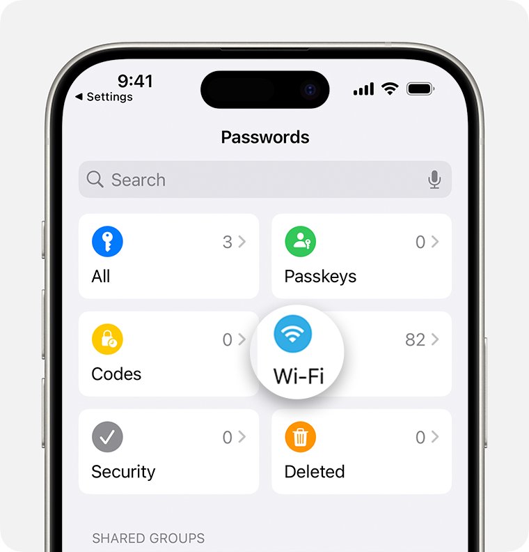 iPhone Passwords app home screen with the Wi-Fi category highlighted