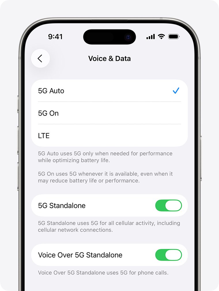 iPhone Voice & Data options listing 5G Auto, 5G On and LTE