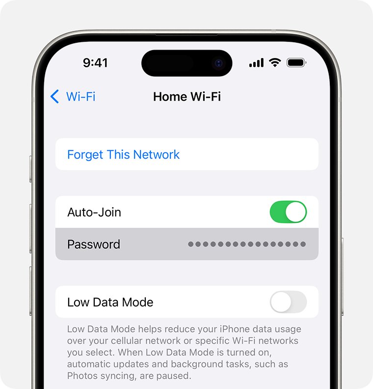 iPhone Wi-Fi network details screen with the hidden Password field