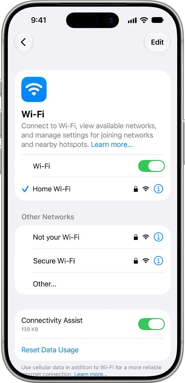 iPhone Wi-Fi not connecting: Wi-Fi settings with Connectivity Assist toggle at the bottom