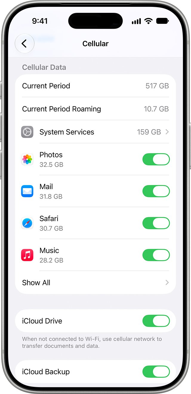 iPhone apps not working on cellular: per-app Cellular Data toggles