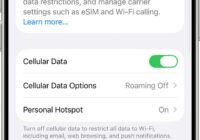 iPhone can make calls but cellular data and Wi-Fi are not working: how to fix it