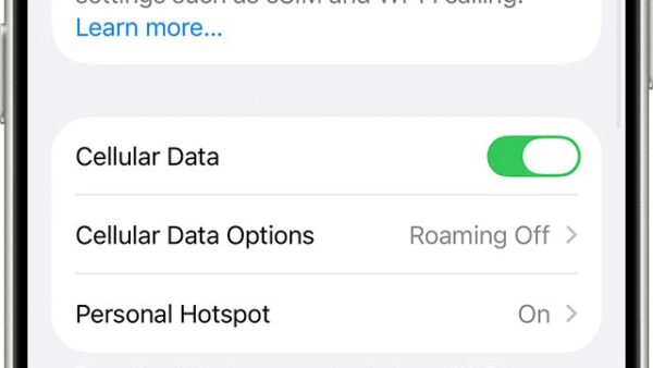 iPhone can make calls but cellular data and Wi-Fi are not working: how to fix it