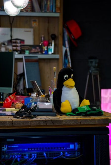 Install WSL and set up a Linux development environment on Windows 11